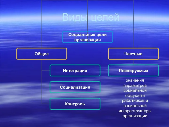 Виды целей значения параметров социальной общности работников и социальной инфраструктуры организации