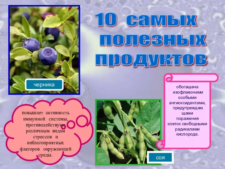 10 самых полезных продуктов черника повышает активность иммунной системы, противодействуют различным