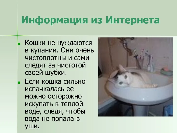 Информация из Интернета Кошки не нуждаются в купании. Они очень чистоплотны