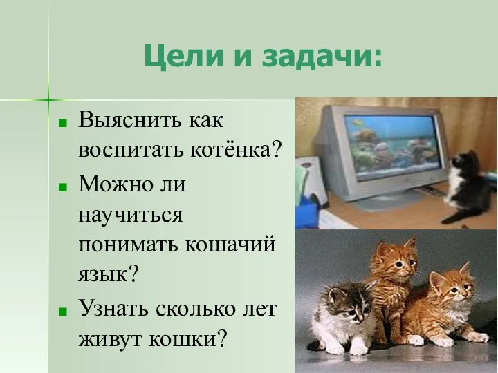 Цели и задачи: Выяснить как воспитать котёнка? Можно ли научиться понимать