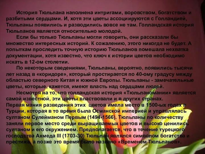 История Тюльпана наполнена интригами, воровством, богатством и разбитыми сердцами. И, хотя