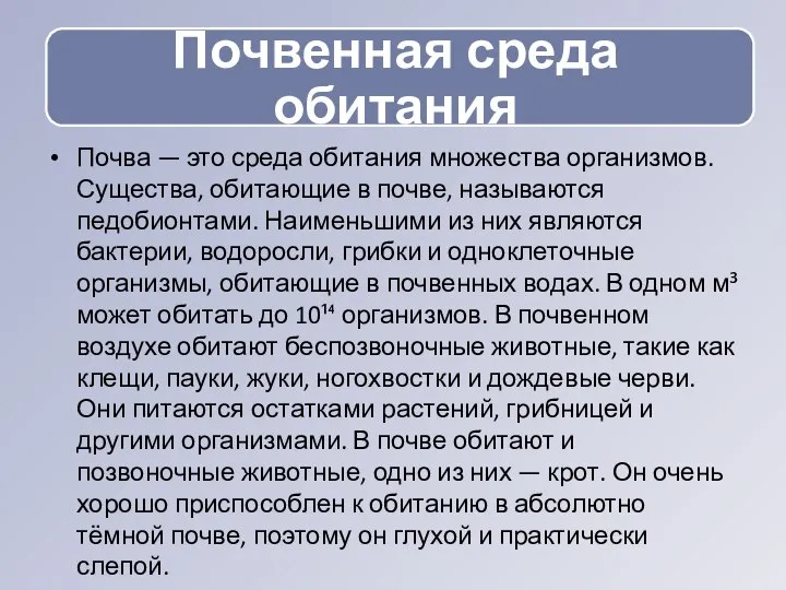 Почва — это среда обитания множества организмов. Существа, обитающие в почве,