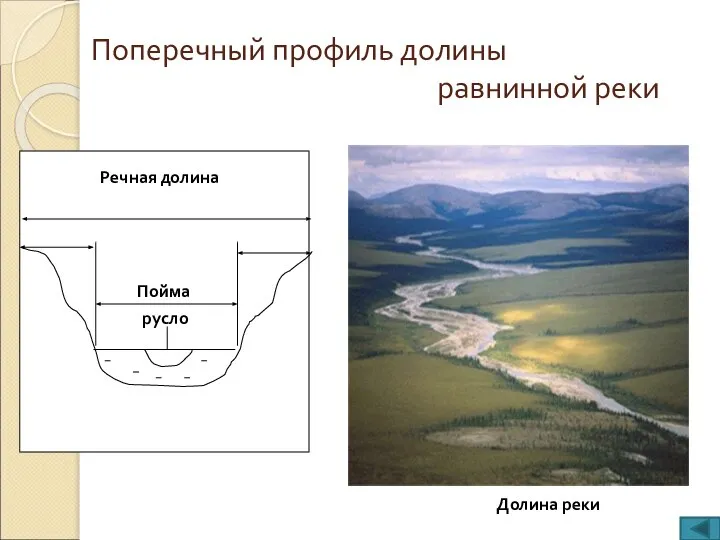 Поперечный профиль долины равнинной реки Долина реки