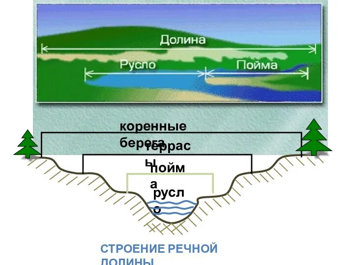 СТРОЕНИЕ РЕЧНОЙ ДОЛИНЫ русло пойма террасы коренные берега