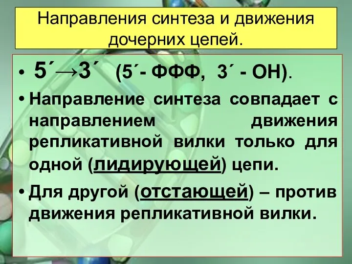 Направления синтеза и движения дочерних цепей. 5΄→3΄ (5΄- ФФФ, 3΄ -