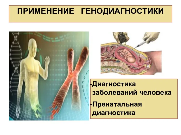 ПРИМЕНЕНИЕ ГЕНОДИАГНОСТИКИ Диагностика заболеваний человека Пренатальная диагностика