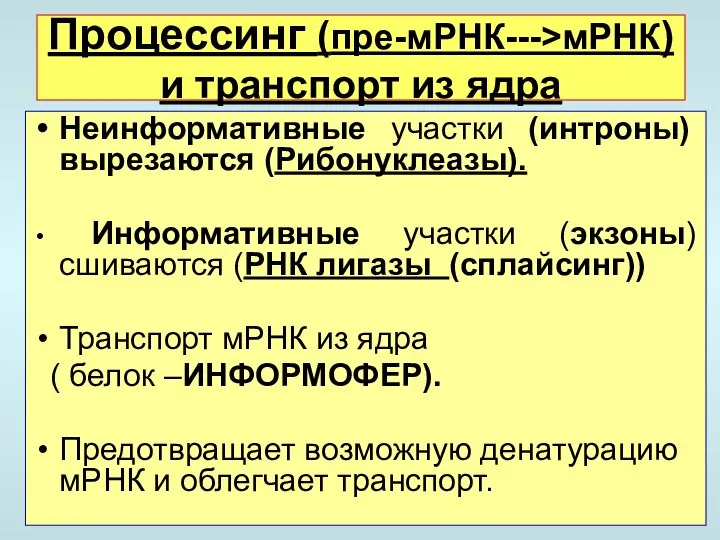 Процессинг (пре-мРНК--->мРНК) и транспорт из ядра Неинформативные участки (интроны) вырезаются (Рибонуклеазы).