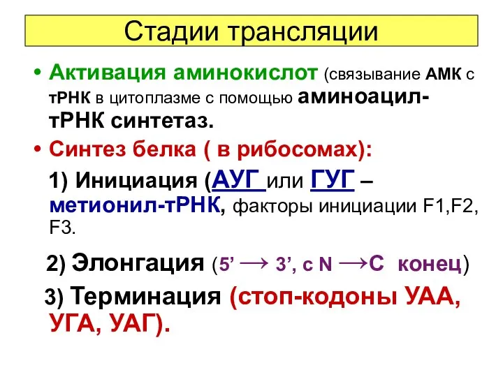 Стадии трансляции Активация аминокислот (связывание АМК с тРНК в цитоплазме с