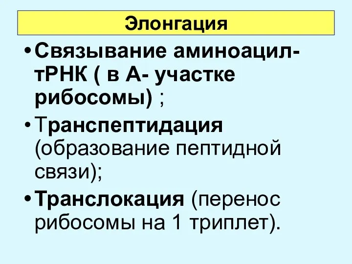 Элонгация Связывание аминоацил-тРНК ( в А- участке рибосомы) ; Транспептидация (образование