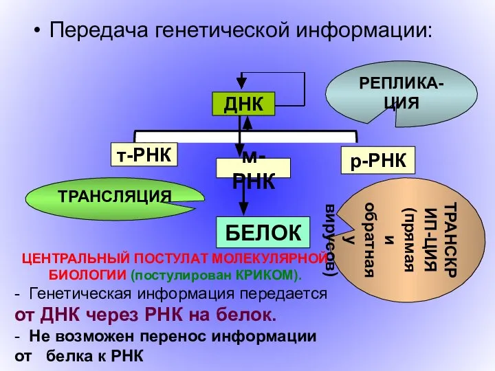 Передача генетической информации: DNA t RNA r RNA m RNA protein