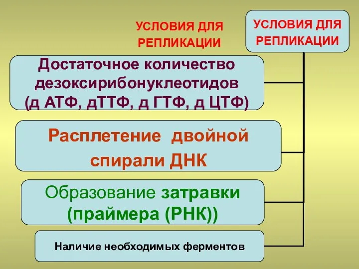 УСЛОВИЯ ДЛЯ РЕПЛИКАЦИИ