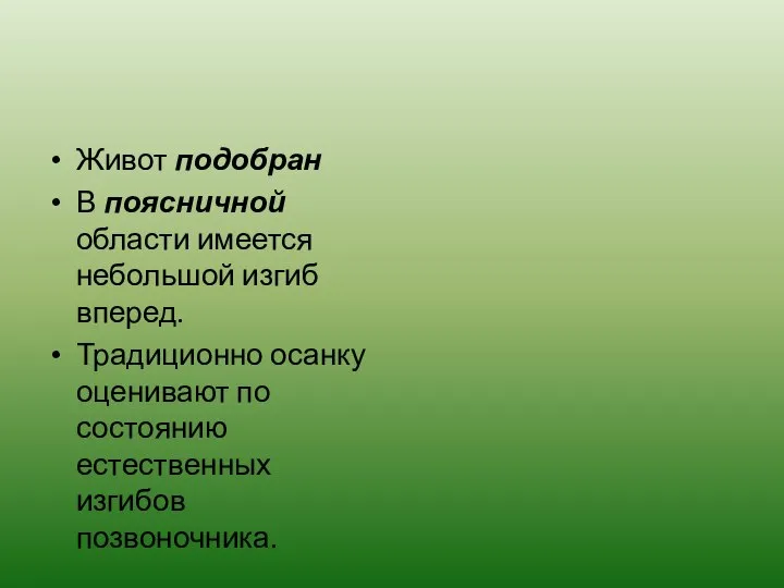 Живот подобран В поясничной области имеется небольшой изгиб вперед. Традиционно осанку