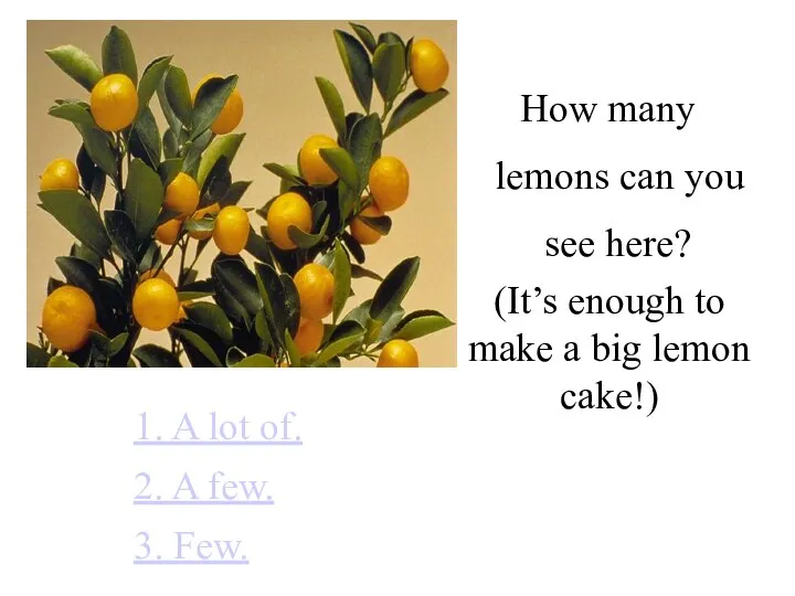 How many lemons can you see here? 1. A lot of.