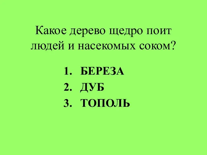 Какое дерево щедро поит людей и насекомых соком? БЕРЕЗА ДУБ ТОПОЛЬ