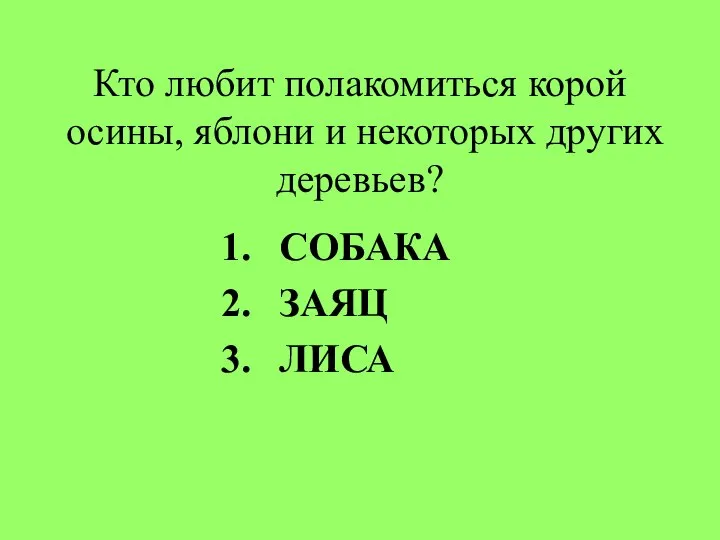 Кто любит полакомиться корой осины, яблони и некоторых других деревьев? СОБАКА ЗАЯЦ ЛИСА