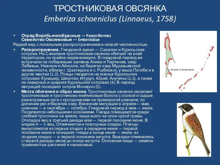 ТРОСТНИКОВАЯ ОВСЯНКА Emberiza schoeniclus (Linnaeus, 1758) Отряд Воробьинообразные — Passeriformes Семейство