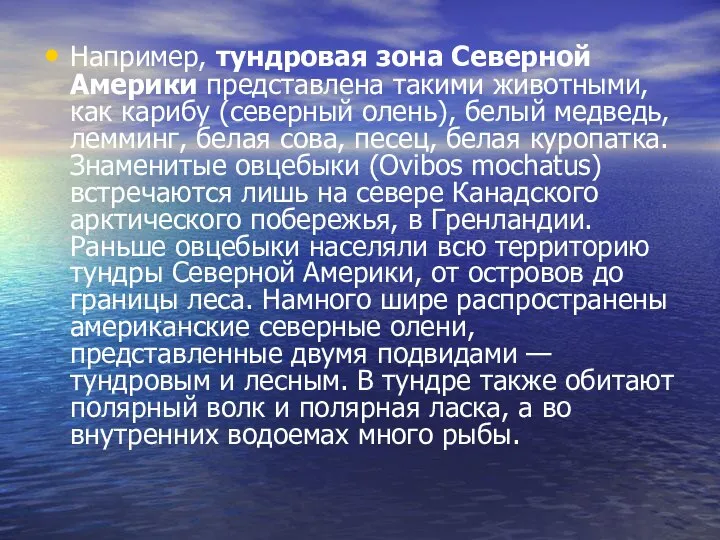 Например, тундровая зона Северной Америки представлена такими животными, как карибу (северный