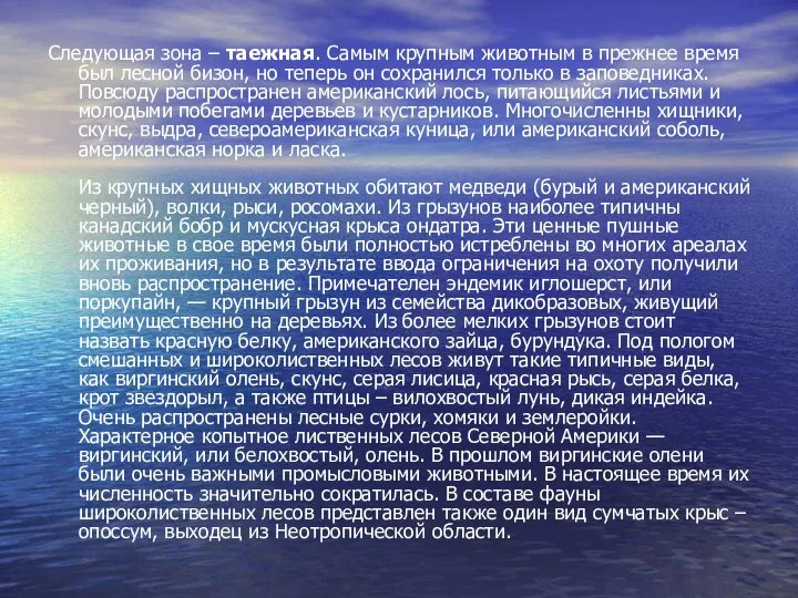 Следующая зона – таежная. Самым крупным животным в прежнее время был