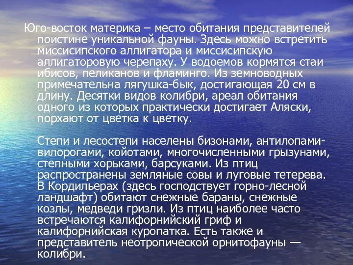 Юго-восток материка – место обитания представителей поистине уникальной фауны. Здесь можно