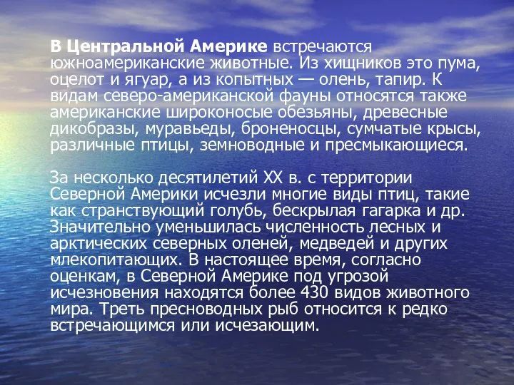 В Центральной Америке встречаются южноамериканские животные. Из хищников это пума, оцелот