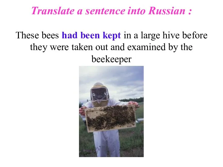 Translate a sentence into Russian : These bees had been kept