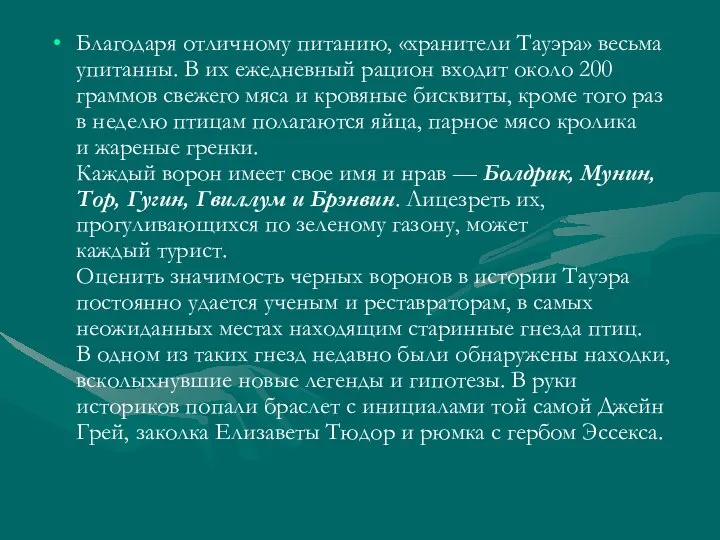 Благодаря отличному питанию, «хранители Тауэра» весьма упитанны. В их ежедневный рацион