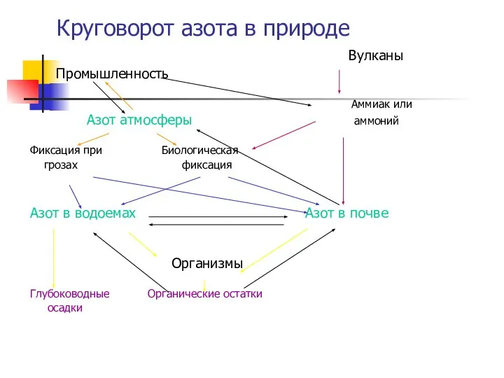 Круговорот азота в природе Вулканы Промышленность Аммиак или Азот атмосферы аммоний