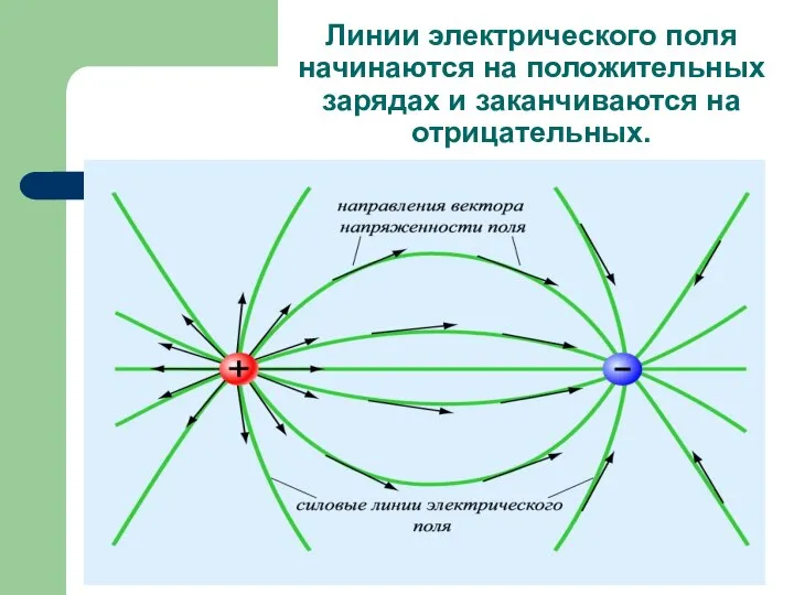 Линии электрического поля начинаются на положительных зарядах и заканчиваются на отрицательных.