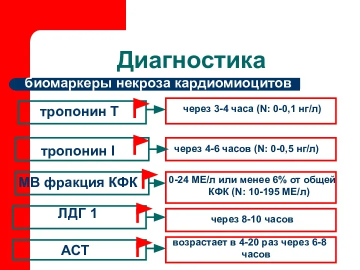 Диагностика тропонин Т тропонин I биомаркеры некроза кардиомиоцитов MB фракция КФК