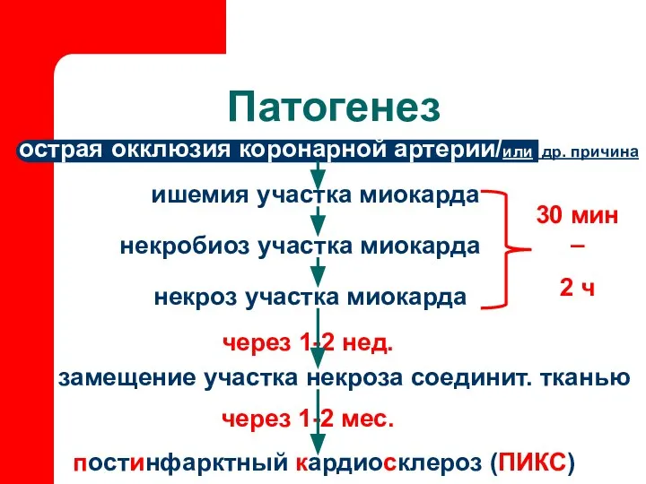 Патогенез острая окклюзия коронарной артерии/или др. причина ишемия участка миокарда некробиоз