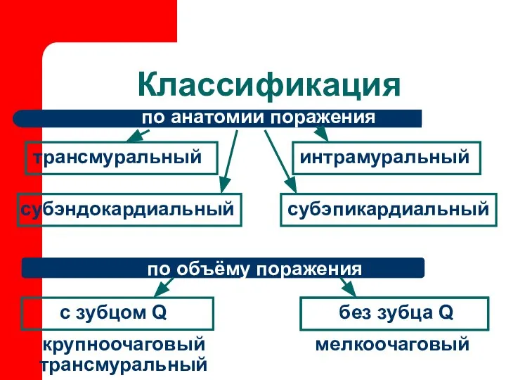 Классификация трансмуральный интрамуральный по анатомии поражения субэндокардиальный субэпикардиальный по объёму поражения