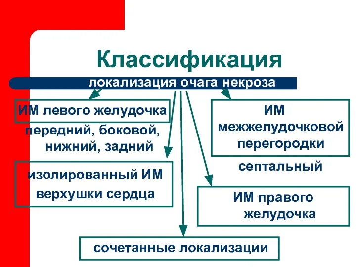 Классификация ИМ левого желудочка ИМ межжелудочковой перегородки локализация очага некроза изолированный