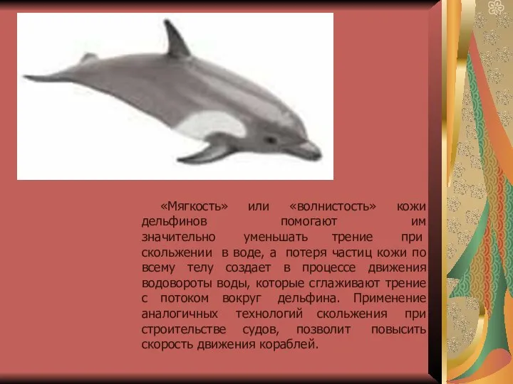 «Мягкость» или «волнистость» кожи дельфинов помогают им значительно уменьшать трение при