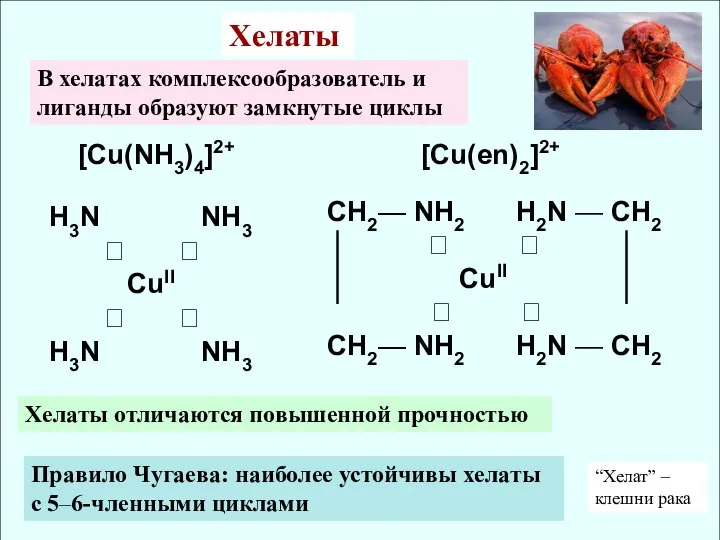 [Cu(NH3)4]2+ [Cu(en)2]2+ H3N NH3 ⭨ ⭩ CuII ⭧ ⭦ H3N NH3