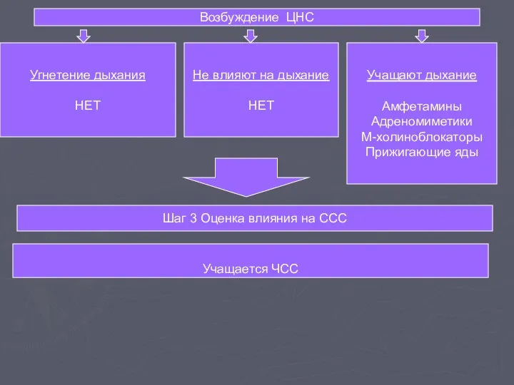 Шаг 3 Оценка влияния на ССС Учащается ЧСС