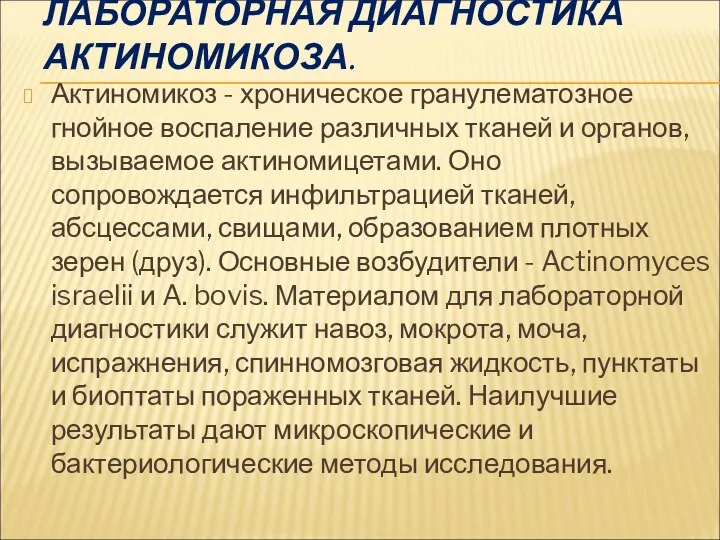 ЛАБОРАТОРНАЯ ДИАГНОСТИКА АКТИНОМИКОЗА. Актиномикоз - хроническое гранулематозное гнойное воспаление различных тканей