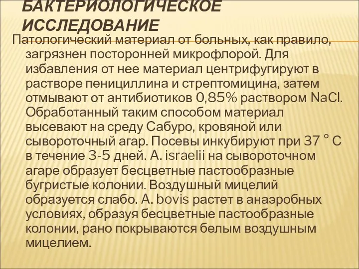 БАКТЕРИОЛОГИЧЕСКОЕ ИССЛЕДОВАНИЕ Патологический материал от больных, как правило, загрязнен посторонней микрофлорой.