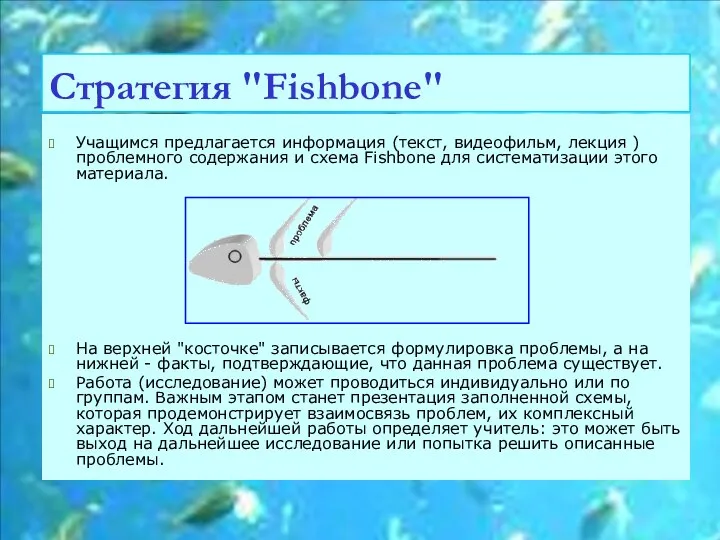 Стратегия "Fishbone" Учащимся предлагается информация (текст, видеофильм, лекция ) проблемного содержания