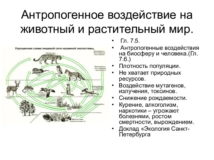 Антропогенное воздействие на животный и растительный мир. Гл. 7.5. Антропогенные воздействия