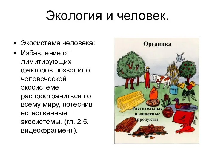 Экология и человек. Экосистема человека: Избавление от лимитирующих факторов позволило человеческой