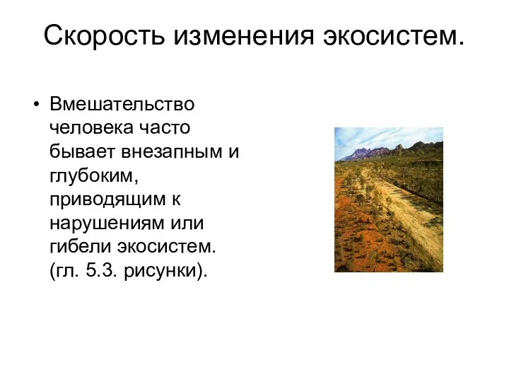 Скорость изменения экосистем. Вмешательство человека часто бывает внезапным и глубоким, приводящим