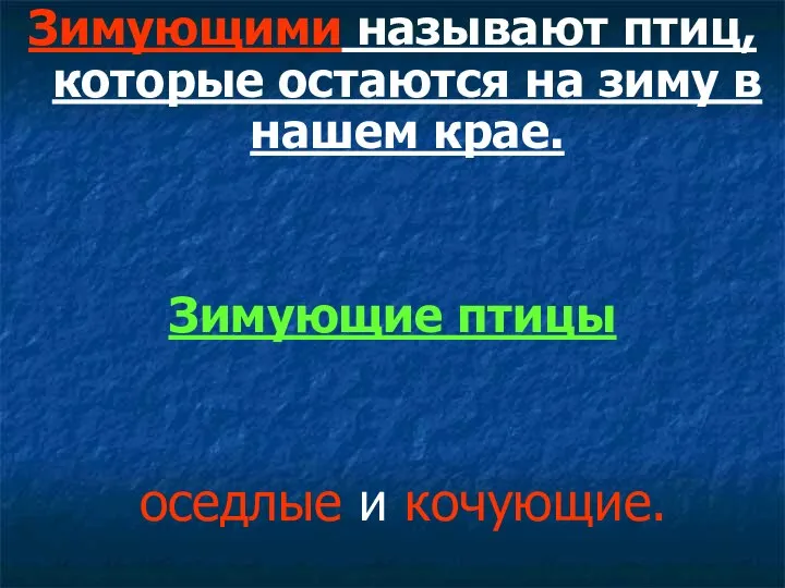 Зимующими называют птиц, которые остаются на зиму в нашем крае. Зимующие птицы оседлые и кочующие.