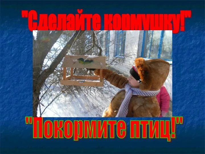 "Сделайте кормушку!" "Покормите птиц!"