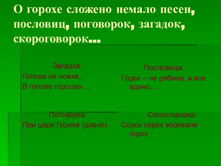 О горохе сложено немало песен, пословиц, поговорок, загадок, скороговорок… Загадка: Голова