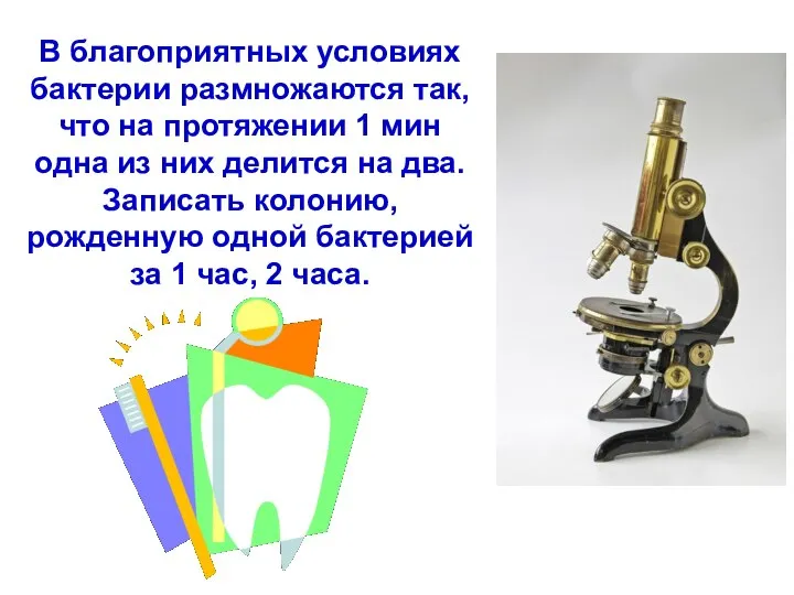 В благоприятных условиях бактерии размножаются так, что на протяжении 1 мин