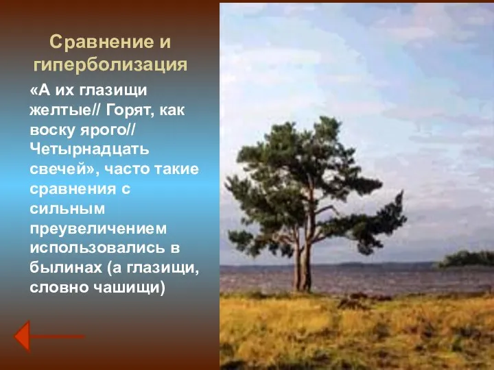 Сравнение и гиперболизация «А их глазищи желтые// Горят, как воску ярого//