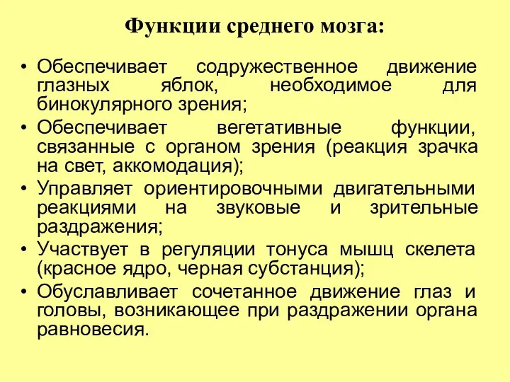 Функции среднего мозга: Обеспечивает содружественное движение глазных яблок, необходимое для бинокулярного