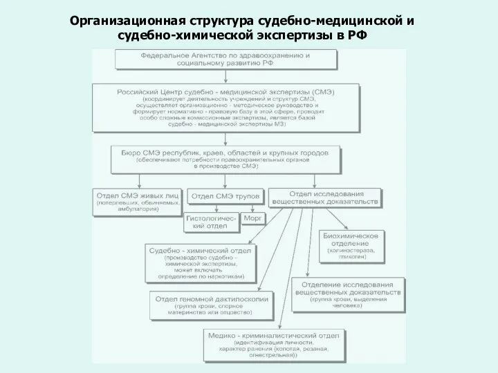 Организационная структура судебно-медицинской и судебно-химической экспертизы в РФ
