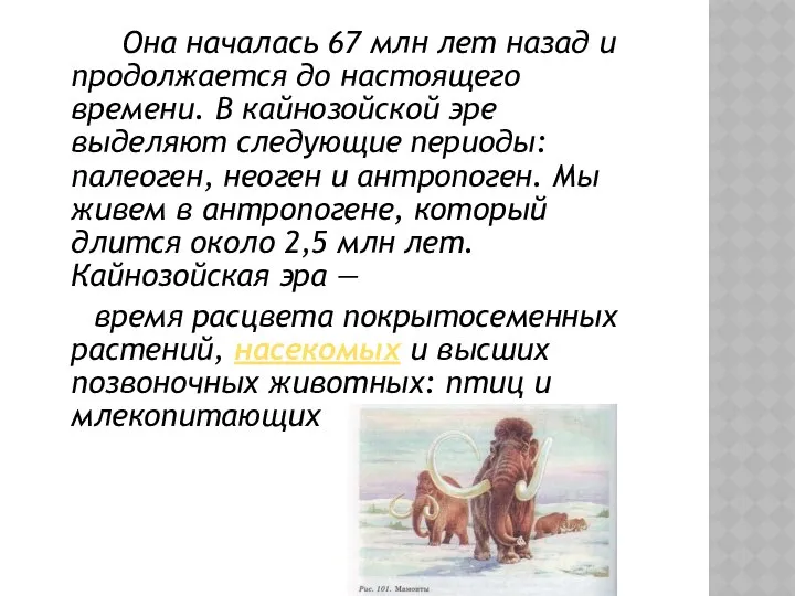 Она началась 67 млн лет назад и продолжается до настоящего времени.