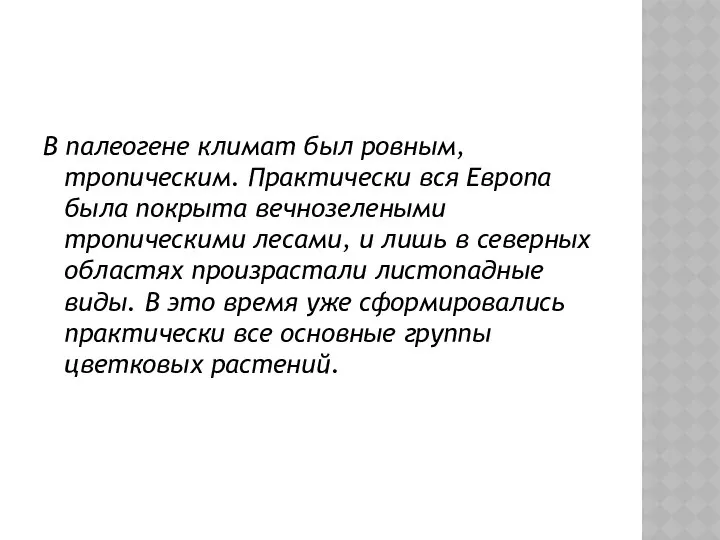 В палеогене климат был ровным, тропическим. Практически вся Европа была покрыта